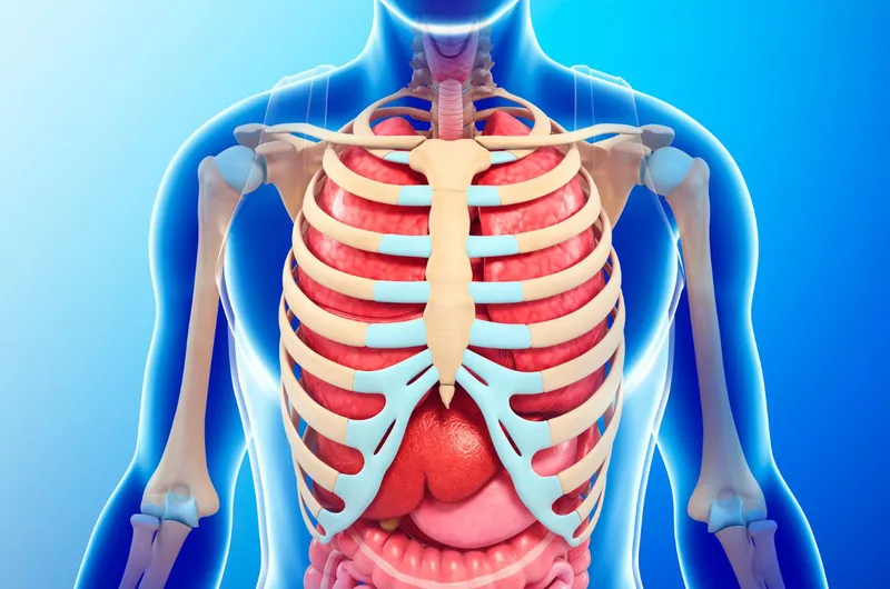 Chấn thương phần mềm xương sườn: nguyên nhân, triệu chứng và cách điều trị