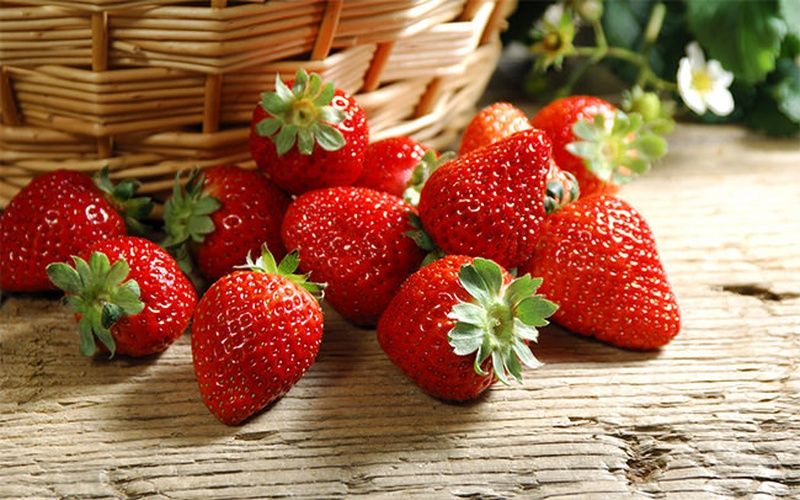Các câu hỏi thường gặp về bổ sung chất xơ cho trẻ