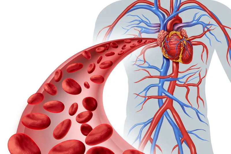 Xét nghiệm cholesterol: đo lường và dự báo nguy cơ tim mạch