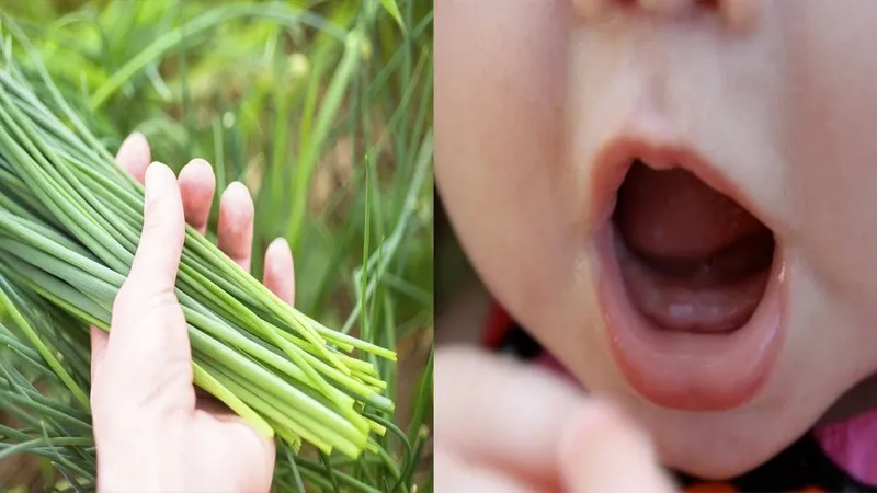 Tác dụng của lá hẹ trong việc mọc răng không sốt cho bé