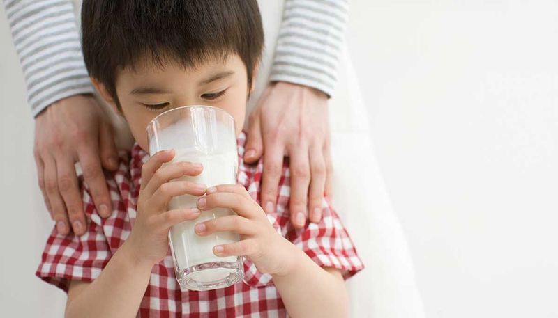 Sữa cao năng lượng: một nguồn dinh dưỡng quan trọng cho trẻ