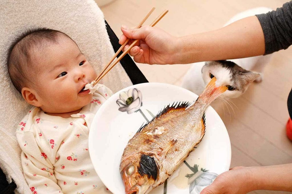 Hải sản giàu canxi nhưng cho trẻ ăn thế nào mới đúng? - Báo Quảng Ninh điện  tử