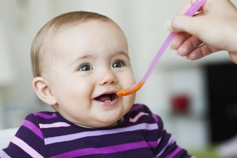 Thực đơn ăn dặm 30 ngày cho bé 6 tháng tuổi: làm cách nào để xây dựng một thực đơn khoa học?
