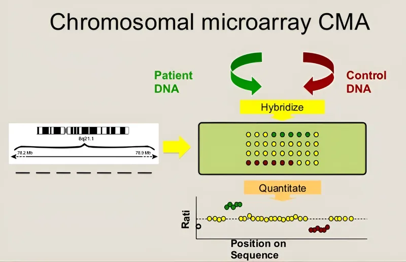 Kỹ thuật microarray - định nghĩa, ứng dụng và nguyên lý hoạt động