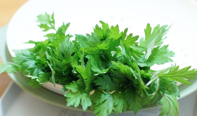Tắm lá ngải cứu cho trẻ sơ sinh: phương pháp tốt cho làn da khỏe mạnh
