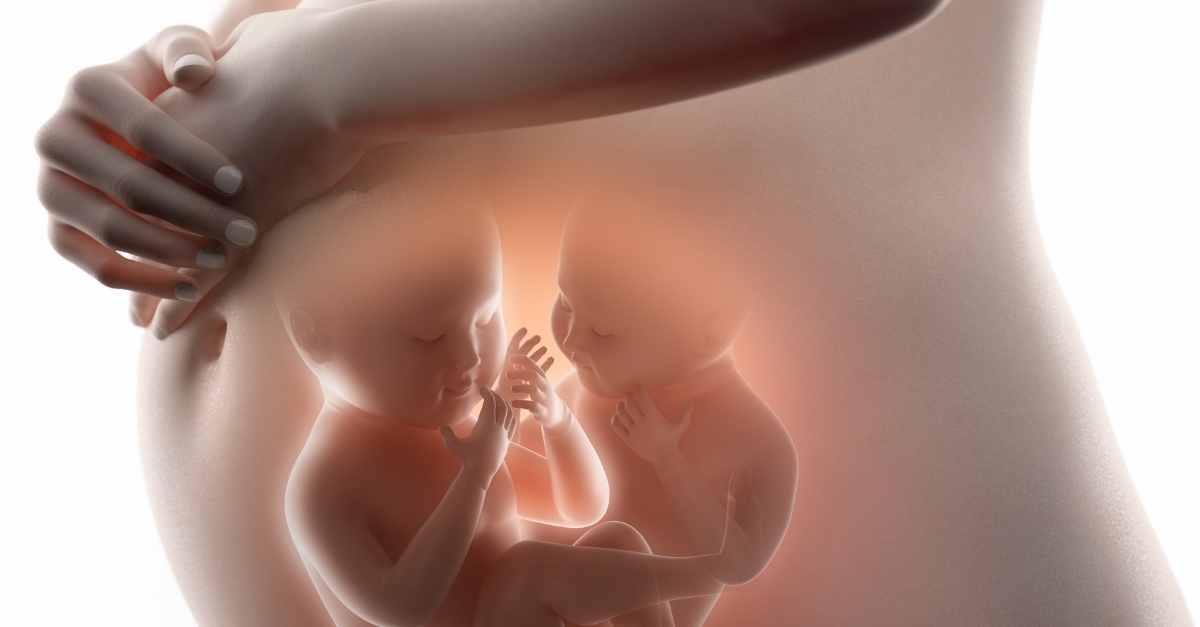 Lưu ý khi mang thai đôi - Mẹ bầu nhất định phải biết - Bệnh viện Quốc Tế  Dolife