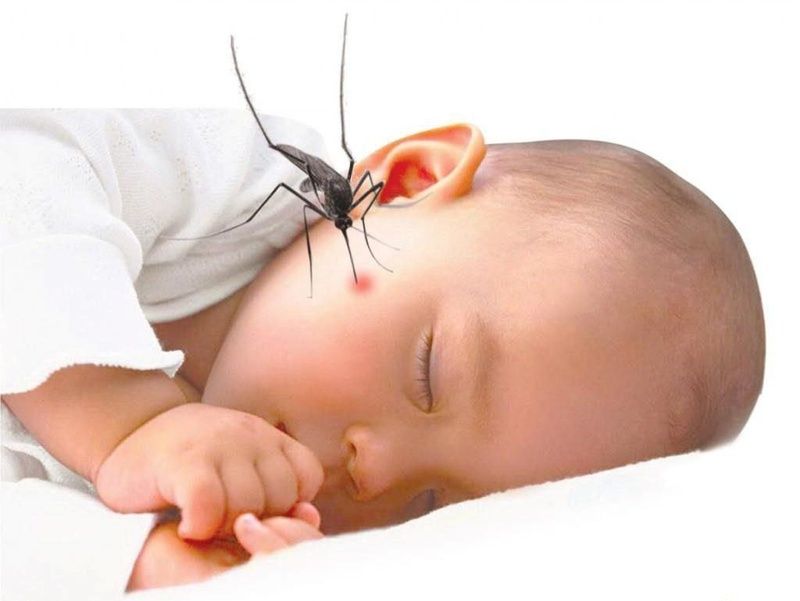 Kem chống muỗi cho bé - bảo vệ làn da nhạy cảm của trẻ