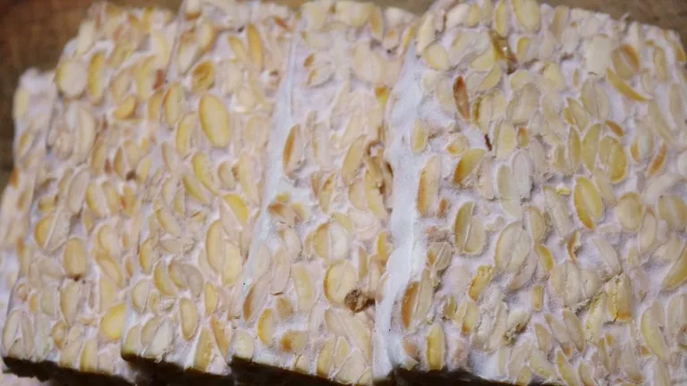 Tempeh - một thực phẩm chất lượng đến từ đậu nành lên men