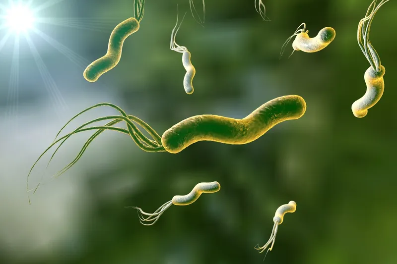 Xét nghiệm hp và ý nghĩa của chỉ số h. pylori igg