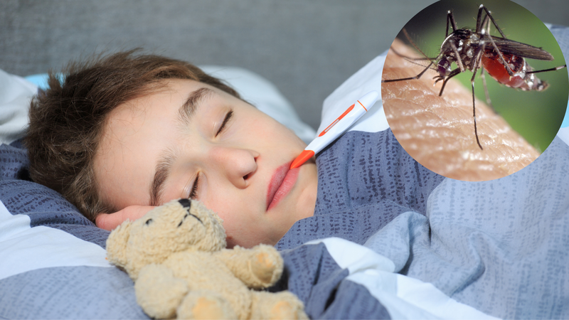 Tìm hiểu về bệnh sốt rét và cách lây nhiễm