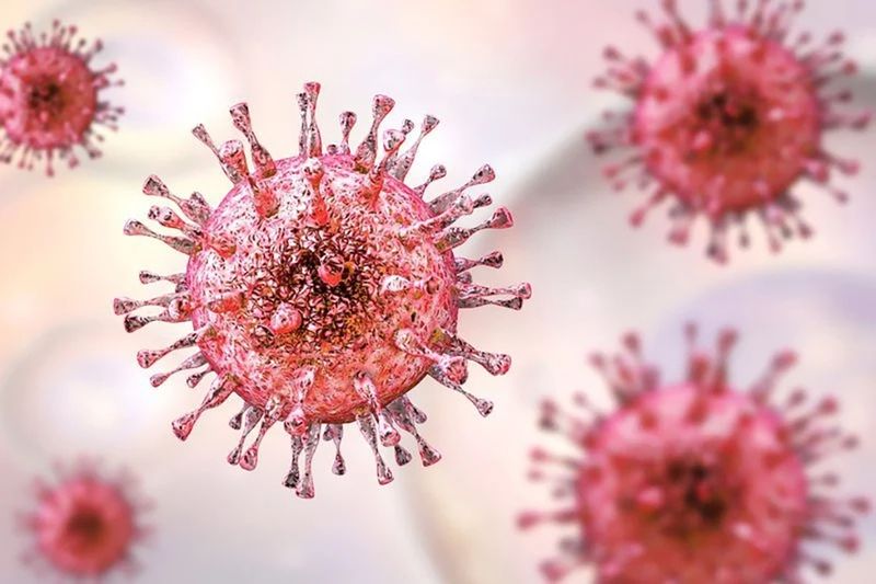 Xét nghiệm cmv: kiểm tra và chữa bệnh cytomegalovirus