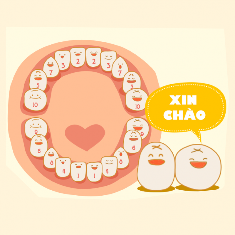 Mọc răng ở trẻ: thứ tự mọc răng và cách chăm sóc