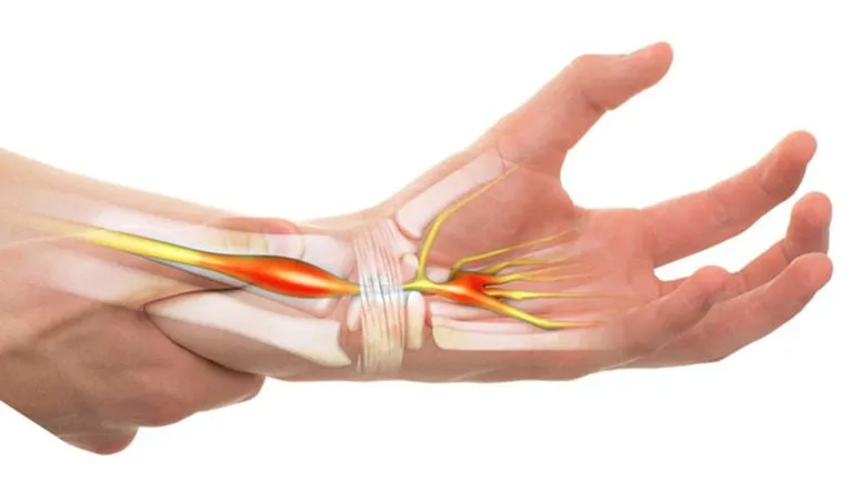 Giải phẫu và chức năng của cổ tay: hiểu rõ hơn về phần kết nối quan trọng của tay