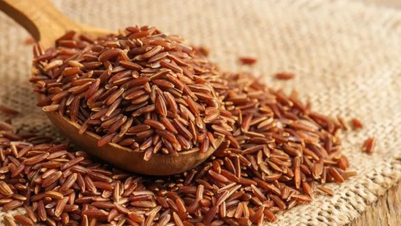 Tại sao cháo gạo lứt cho bé ăn dặm là lựa chọn tốt