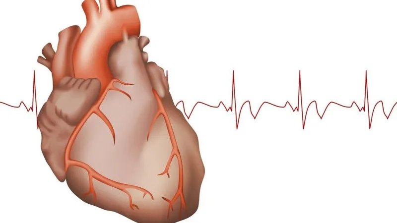 Tapse là gì và vai trò của chỉ số này trong siêu âm tim