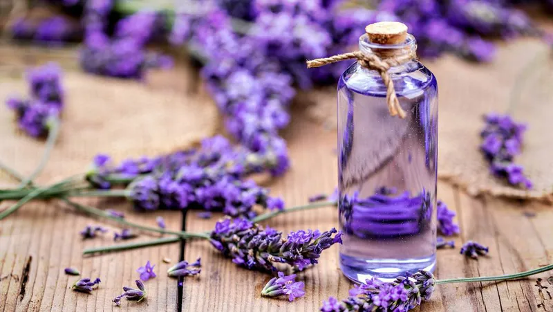 Mẹo dân gian chữa bệnh chân tay miệng hiệu quả cho trẻ nhỏ