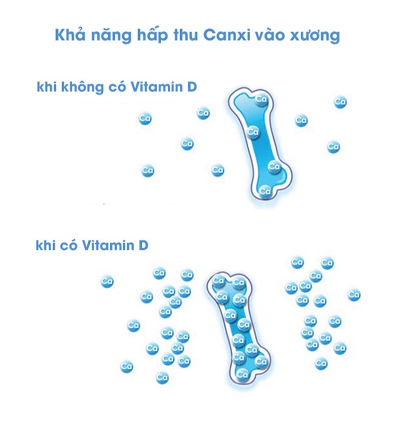 Faq về việc hấp thụ vitamin d từ ánh nắng mặt trời