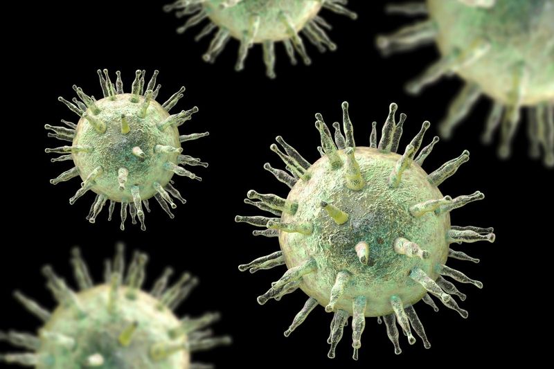 Ebv antigen: khám phá về loại virus herpes phổ biến
