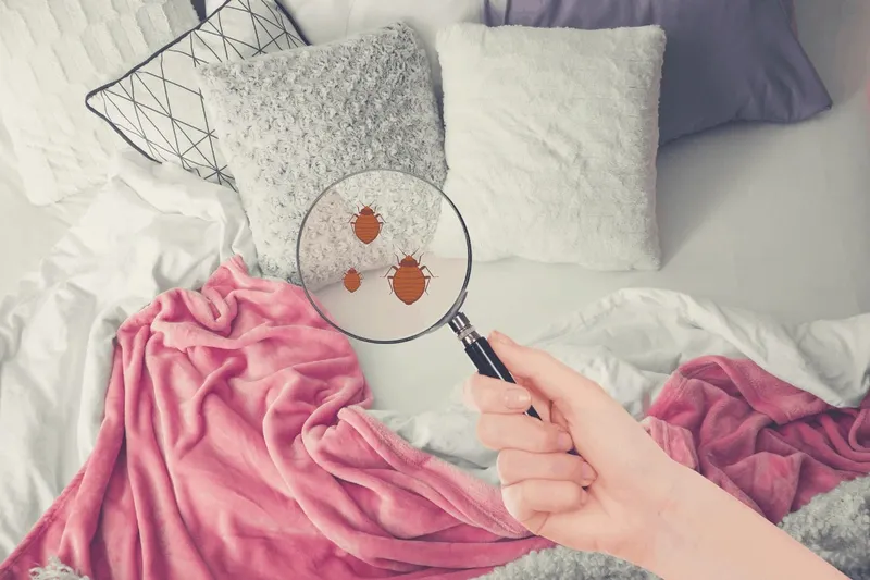 Viêm da mủ ở trẻ sơ sinh: nguyên nhân, triệu chứng và cách điều trị