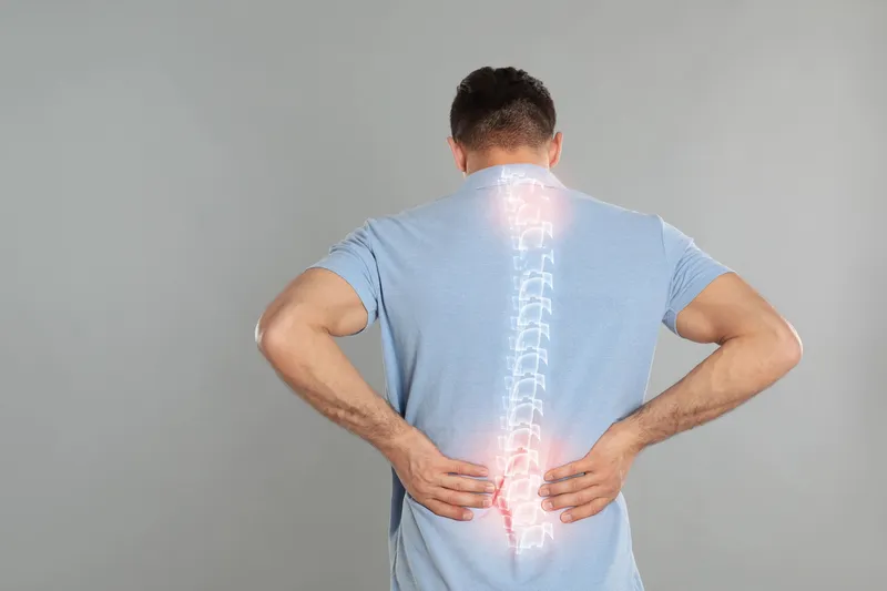 Đĩa đệm: cấu trúc, chức năng và những bệnh thường gặp