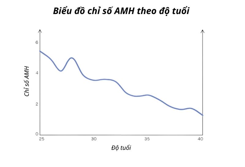Sức khỏe sinh sản của phụ nữ: tìm hiểu về chỉ số amh và xét nghiệm amh ở đâu?