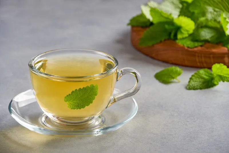 Rau húng lủi: tác dụng cho sức khỏe và những lưu ý cho bà bầu