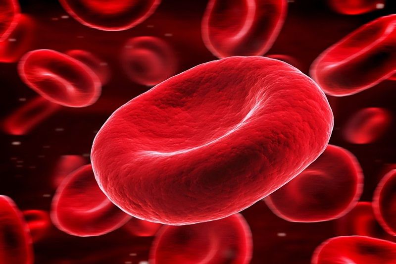 Amino axit: định nghĩa và vai trò quan trọng