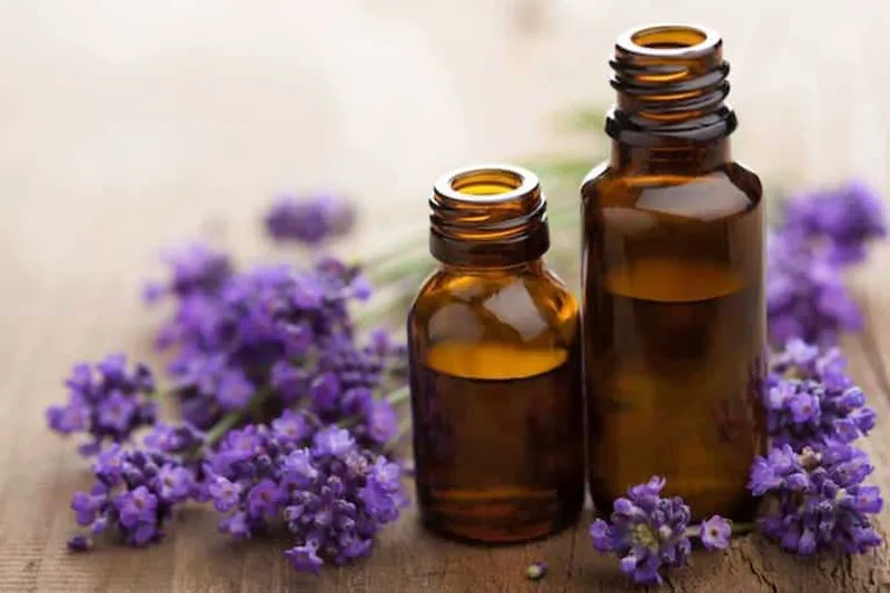 5 loại tinh dầu làm dịu vết bỏng cho trẻ hiệu quả tại nhà