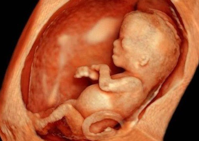 Siêu âm 4D nhiều có tốt không? Mẹ nên siêu âm bao nhiêu lần?