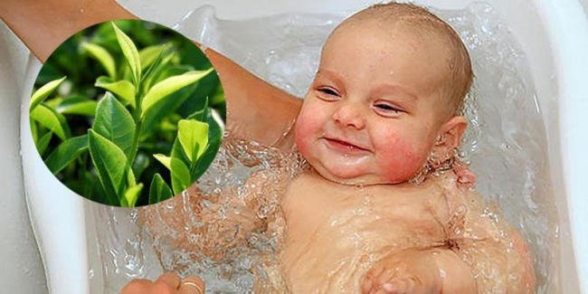 Cách tắm lá chè xanh cho trẻ sơ sinh trị rôm sảy, mẩn ngứa