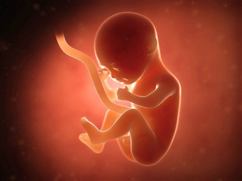 Anti phospholipid igm là gì? tìm hiểu về loại xét nghiệm quan trọng cho phụ nữ mang thai