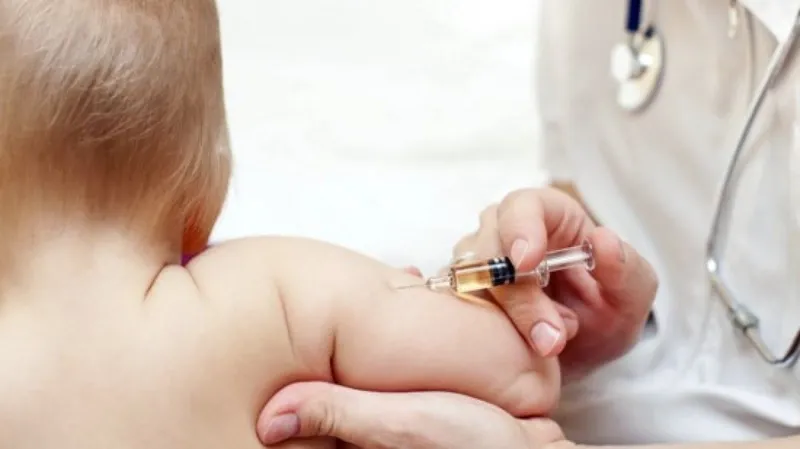 Sử dụng nước lá tía tô trước khi tiêm vaccine: sự thật và hiệu quả