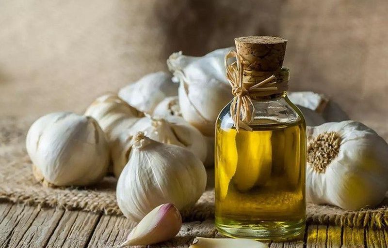 Tinh dầu tỏi diệp chi - sản phẩm giúp giảm các vấn đề về hô hấp