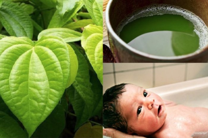Hướng dẫn cách tắm lá trầu không cho bé tại nhà | Home Care