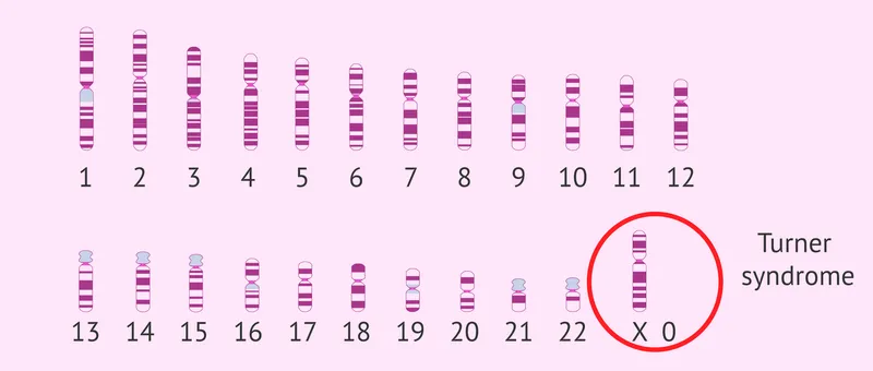 Kỹ thuật microarray - định nghĩa, ứng dụng và nguyên lý hoạt động