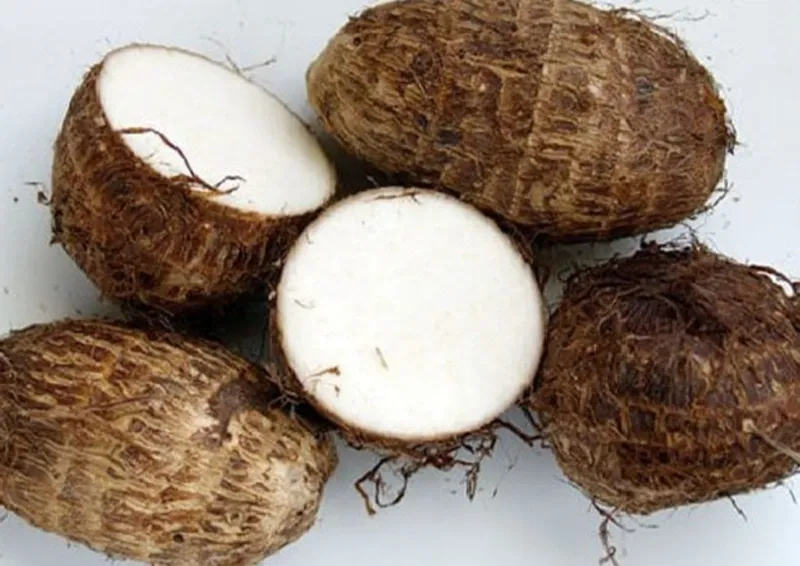Khám phá món cháo khoai sọ cho bé ăn dặm