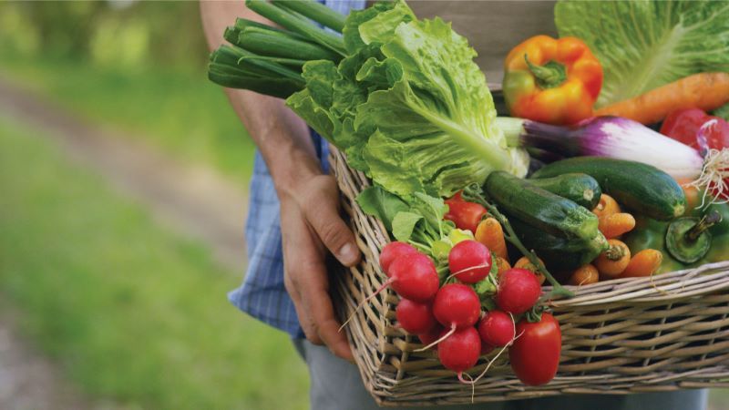 Trẻ sơ sinh bị tiêu chảy: mẹ nên ăn gì để giúp bé?