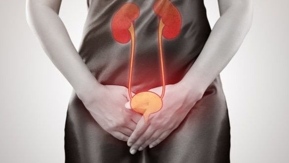 Nhiễm trùng đường tiểu (urosepsis): nguyên nhân, triệu chứng và cách điều trị