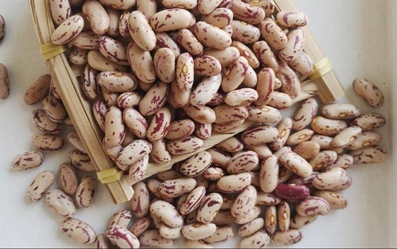 Đậu Cúc là gì ? 10 Công dụng của đậu Pinto đối với sức khỏe - Dananut