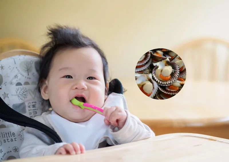 Cháo sò điệp cho bé ăn dặm: bổ dưỡng và hấp dẫn
