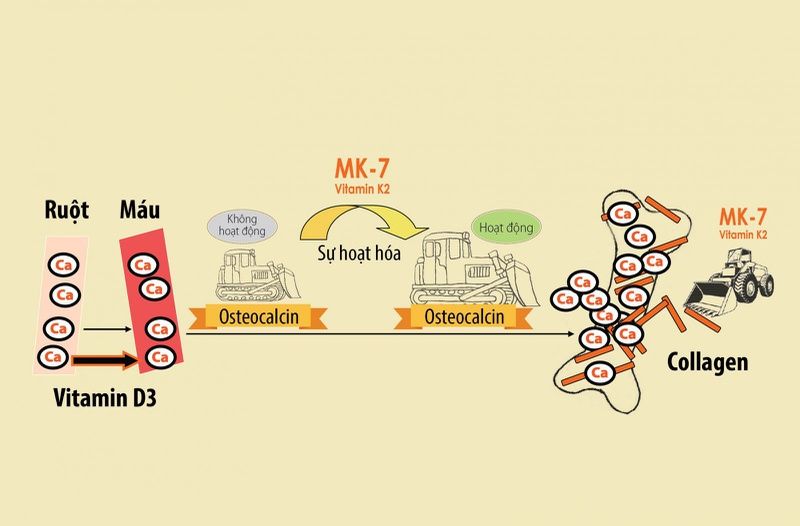 Vitamin d3 k2 mk7 - hỗ trợ phát triển xương cho trẻ sơ sinh