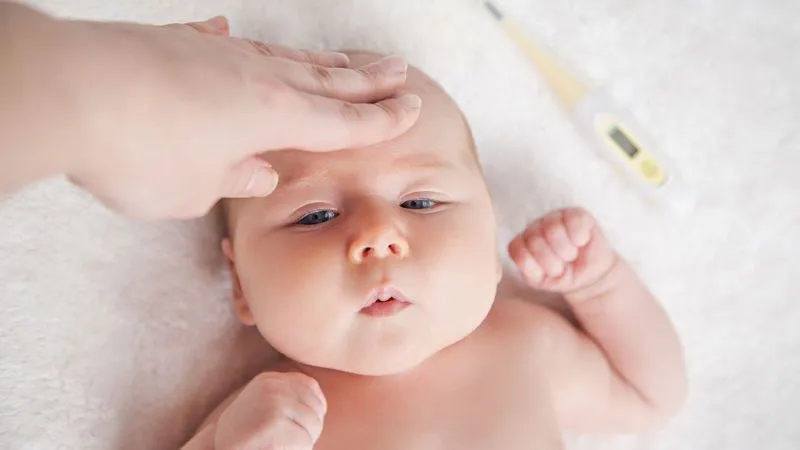 Các loại vắc xin khác: