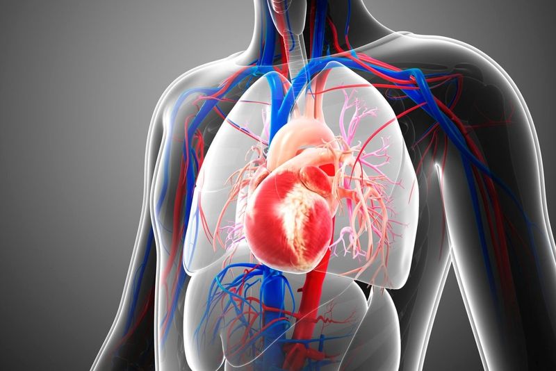 Thông tin cần biết về bệnh thấp tim: bạn cần biết điều gì về bệnh này?