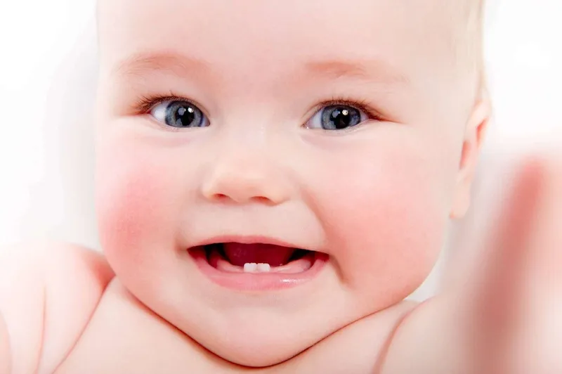 Hình ảnh lợi sắp mọc răng sẽ xuất hiện sau khoảng thời gian nhất định