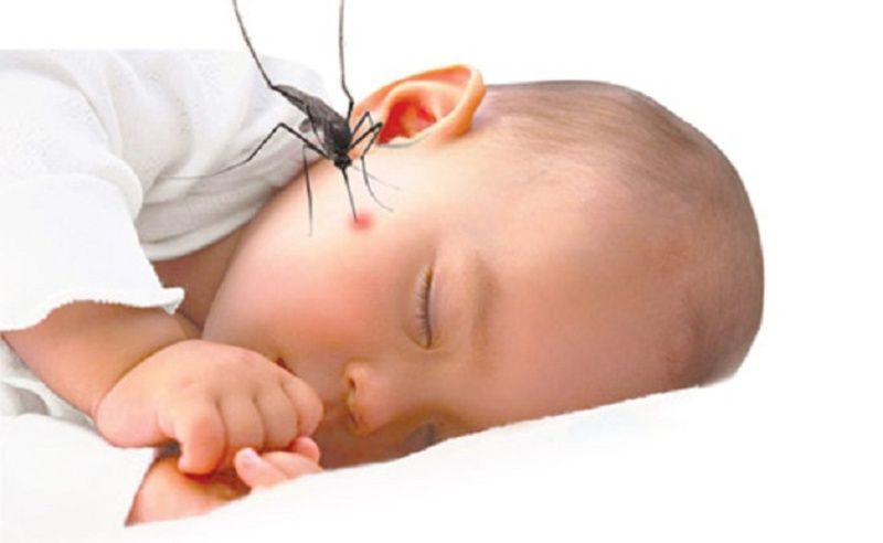 Trẻ sơ sinh bị kiến cắn: nguy hiểm không chỉ cho da bé