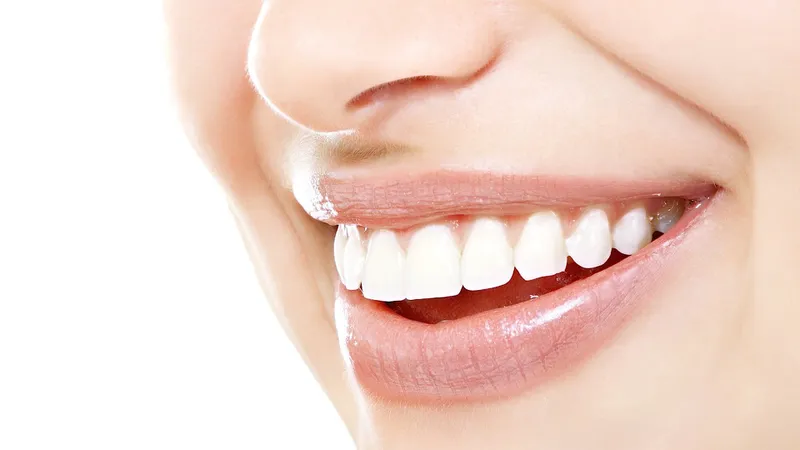 Sơ đồ răng con người: cấu trúc và chức năng