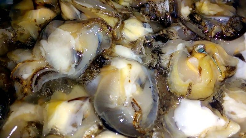 Cháo hàu cho bé ăn dặm: món ngon bổ dưỡng cho bé