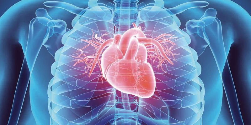 Ngoại tâm thu nhĩ: tình trạng rối loạn nhịp tim và đối tượng dễ mắc