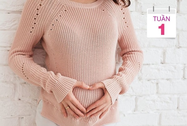 Các dấu hiệu mang thai tuần đầu | BvNTP