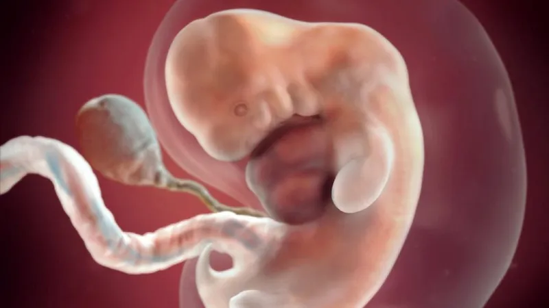 Nguyên nhân và cách xử lý khi siêu âm không thấy tim thai